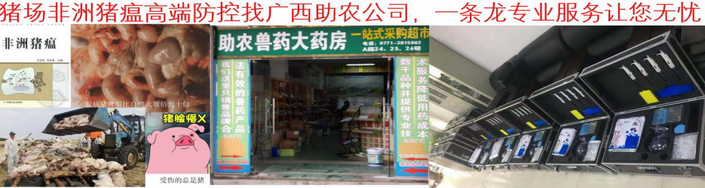 豬場非洲豬瘟高端防控找廣西助農公司，一條龍專業服務讓您無憂